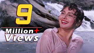 Download lagu कोयलिया गाती है Lyrical Video Song - जंगल लव - कीर्ति सिंह - अनुराधा पौडवाल - Bollywood Song mp3 Download lagu कोयलिया गाती है Lyrical Video Song - जंगल लव - कीर्ति सिंह - अनुराधा पौडवाल - Bollywood Song mp3