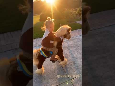 PonyCycle Ride on Horse: Best Gift for Kids