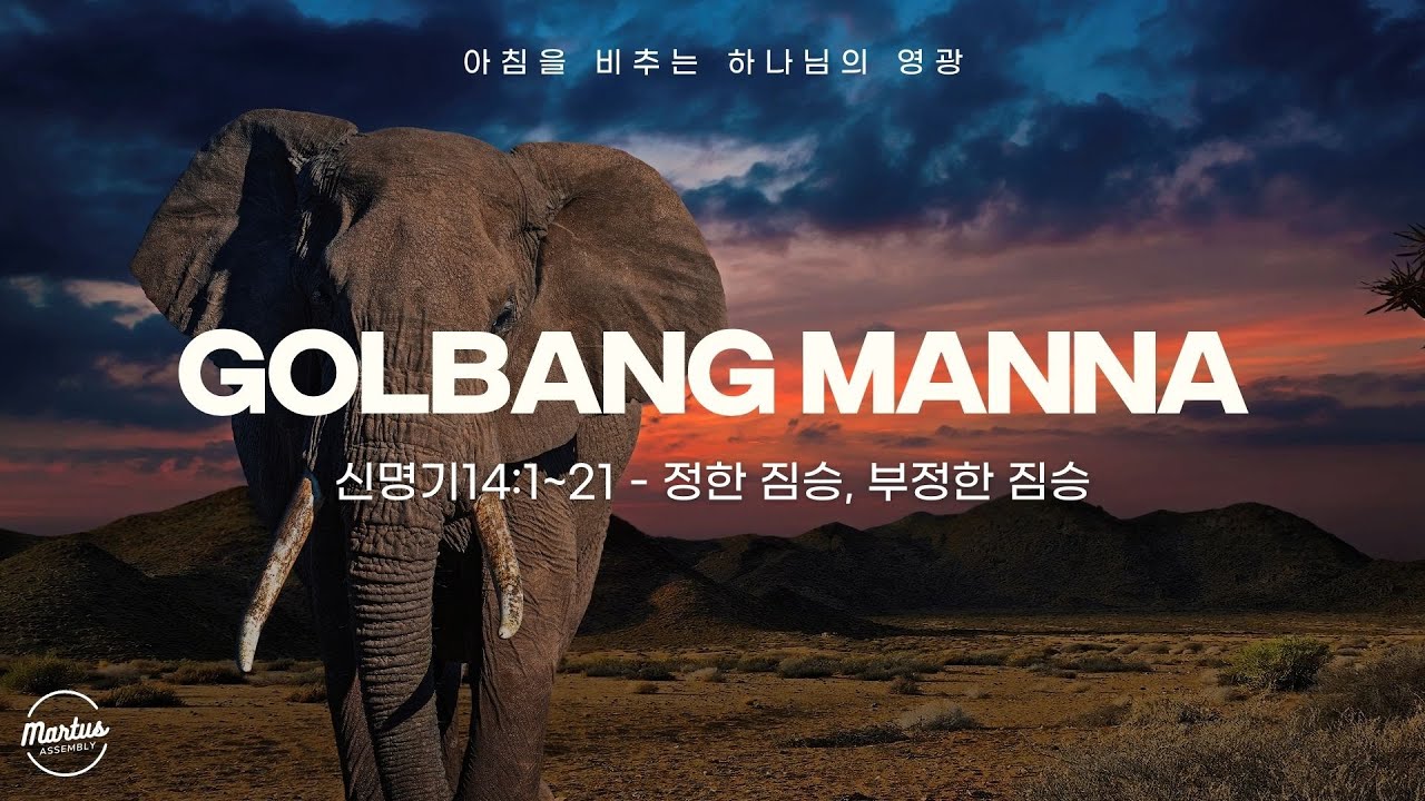 유투브 썸네일