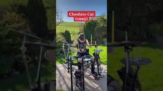 Every Blink-182 album in 30 seconds