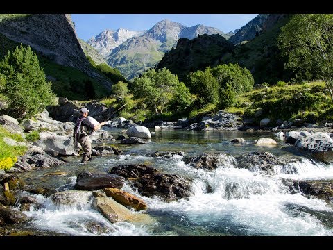WhereWiseMenFish in Spain - Spanish Gold