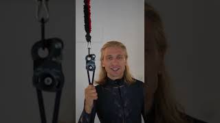 Stick Insect position training (BDFM)