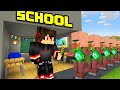 Minecraft but I Open a School!