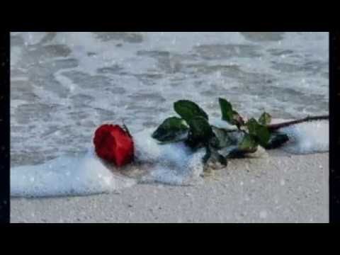 Cơn gió vô tình Sheet - Tha Phương