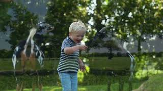 't Hooge Holt - Camping Hardenberg - Image N°2