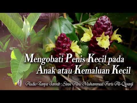 Obat untuk meningkatkan potensi Wanita porno dengan penis kecil