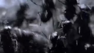 Cover art for patek (clean)