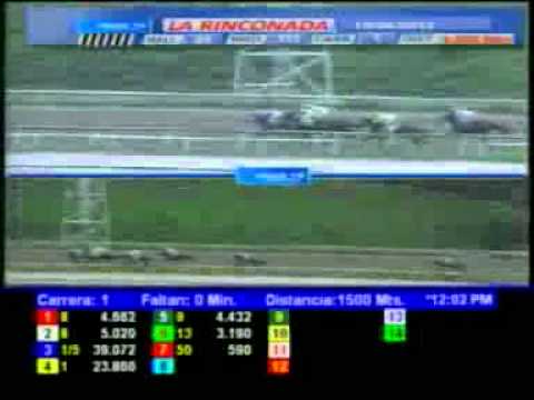 1ERA CARRERA JUEVES 19 ABRIL LA RINCONADA AUDIOHIPISMO.wmv