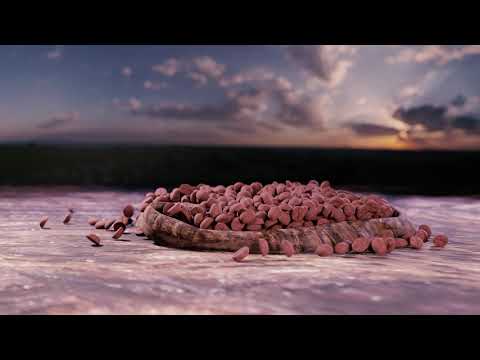 VKL - BAD COFFEE [Official Visualizer]