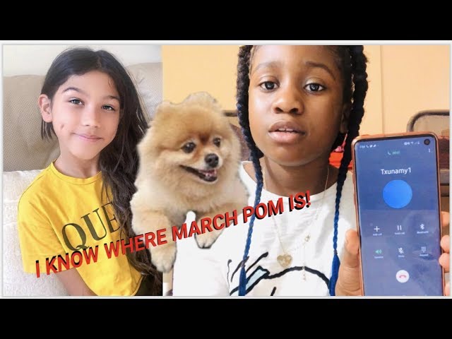 familia diamond lost dog