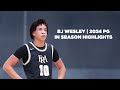 BJ Wesley - 2024 PG Recruit - Highlights