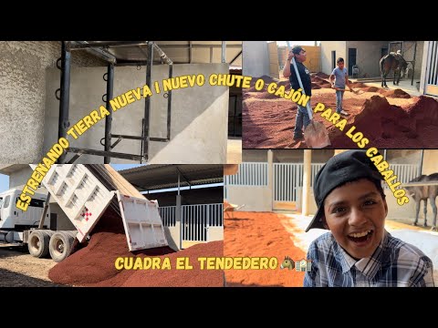 The most anticipated land has finally arrived 👏🏫🐴!!!