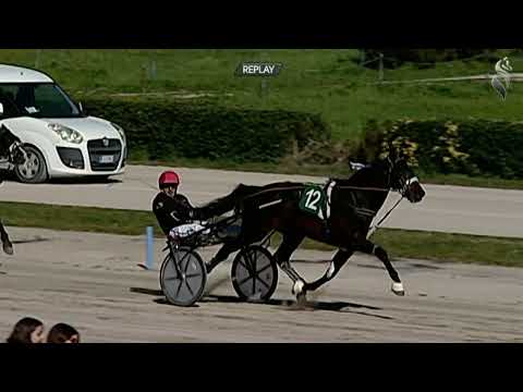 Aversa trotto 18 Marzo 2023 - 1° Corsa