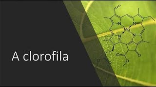 A Clorofila.