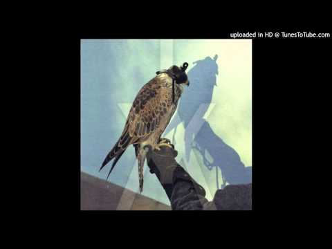Coalition - Iceage