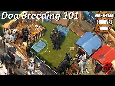 Dog Breeding 101 - Everything you need to know to get a True Friend - Wasteland Survival Guide