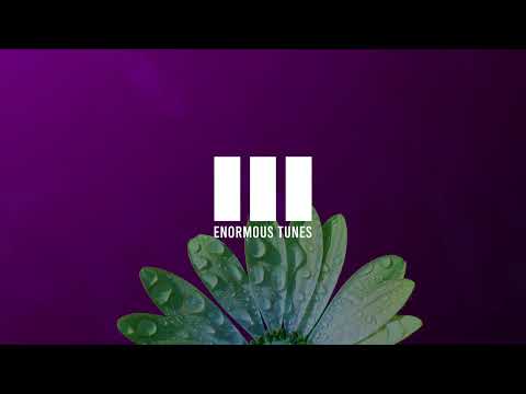 Passenger 10 - Countdown Vicissu Remixes
