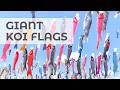 What Is Koinobori In Japan Why Carp Streamer Flags Displayed Japanese Traditional Celebration