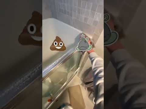 What It’s Like Starting Out as a Crime Scene Cleaner!