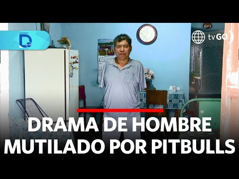 Drama of man mauled by pit bulls | Domingo al Día | Peru