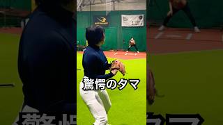 豪速球を投げる野球グラドルしばし #shorts