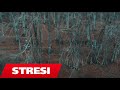 Stresi One T Anestezion Gang Shi Stresi One T Anestezion Gang Shi