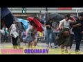 Tropical Storm Has Hit The Tokyo Olympics