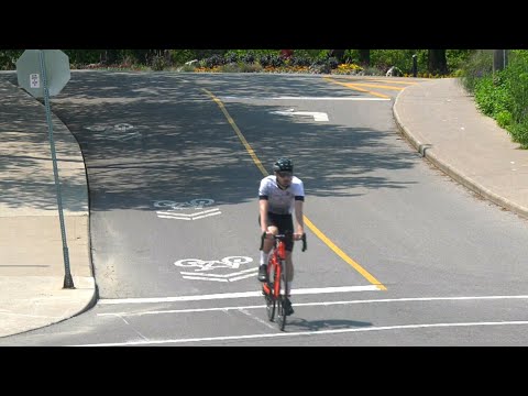 Cyclists are getting traffic tickets at Toronto's High Park