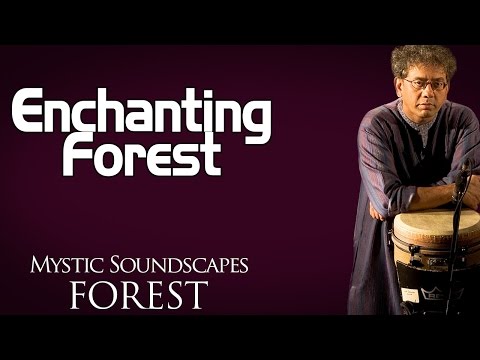 Enchanting Forest | Taufiq Qureshi (Album: Mystic Soundscapes-Forest)