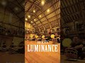 Kodo: LUMINANCE