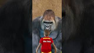 The Harambe Story 😢