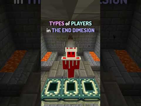 Types of Minecraft Players in The End Dimension