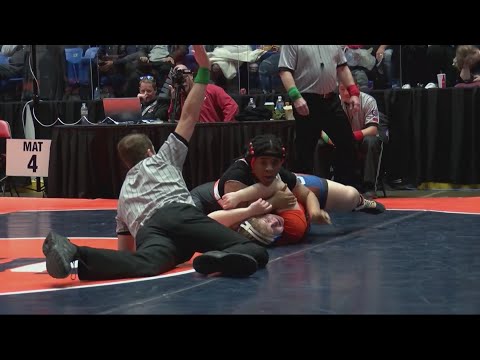 Urbana’s Tyler, Mt. Zion’s Cannon take third place at girls wrestling State Finals