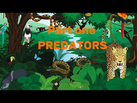 The amazing animals of the amazon rainforest (roblox amazon ascension documentary)
