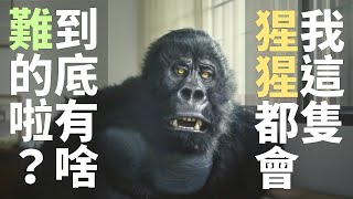 [問卦] 館長 雙幹 骯誰 趴FI 甚麼意思?