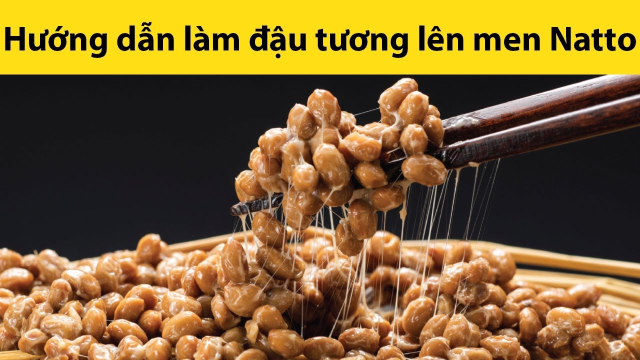 Dinh dưỡng & hướng dẫn làm đậu tương lên men Natto từ máy làm sữa chua Kuvings KGC-712CB KR Version