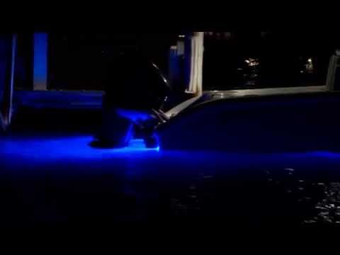 OceanLED TV   Tip From the Pro's   Tom Rowland from Saltwater Experience - iboats.com