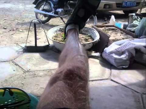 Cycling Across China Part 3   The Hexi Corridor