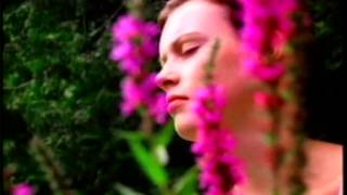 Jane - Bare Naked Ladies Music Video