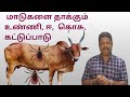 மாடுகளை தாக்கும் உண்ணி ஈ கொசு கட்டுப�