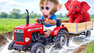 Download lagu การเก็บเกี่ยวกล้วยของลิงบอนบอนผิดพลาด เมื่อรถแทรกเตอร์ของเขาตกลงไปในกับดัก mp3