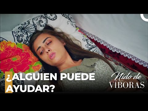 ¡Atacan A Elvan! - Nido De Víboras