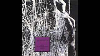 1968 Johnny Griffin Lady Heavy Bottoms Waltz Full Album