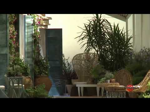 ROBERTO CAVALLI - Milan Fashion Week SS 2010 Runway Show with Top Models  | EXCLUSIVE footage (2009)