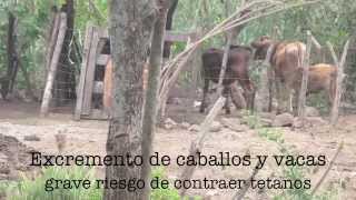 tocando puertas, abriendo corazones -