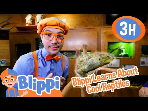 The Aquatic Life of Blippi | Blippi and Meekah Best Friend Adventures | Educational Videos for Kids