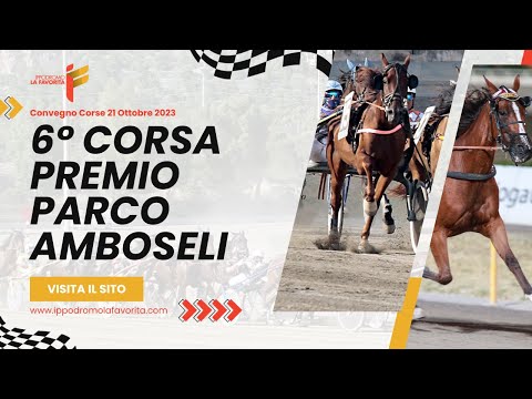 VI Corsa del 21 Ottobre 2023 - 4 Anni - Metri 1600 - Trio