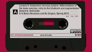 9. Autonomic nervous system; differentiation of the brain vesicles and intro to the hindbrain...