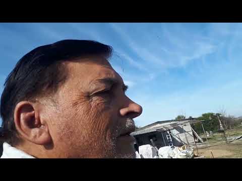 Chacra World.  Colonia Basavilbaso. Entre Rios. 4 de Julio de 2025.