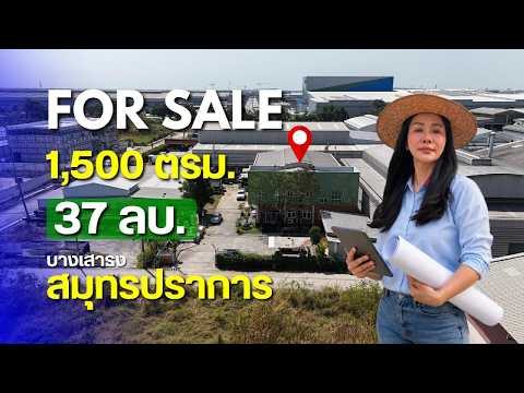 ให้เช่า โกดัง-โรงงาน 600 ตร.ม. ผังสีม่วง เนื้อที่ 1 ไร่ น้ำไฟพร้อม รถใหญ่เข้าได้ #บางเสาธง #สมุทรปราการ – รูปที่ 2
